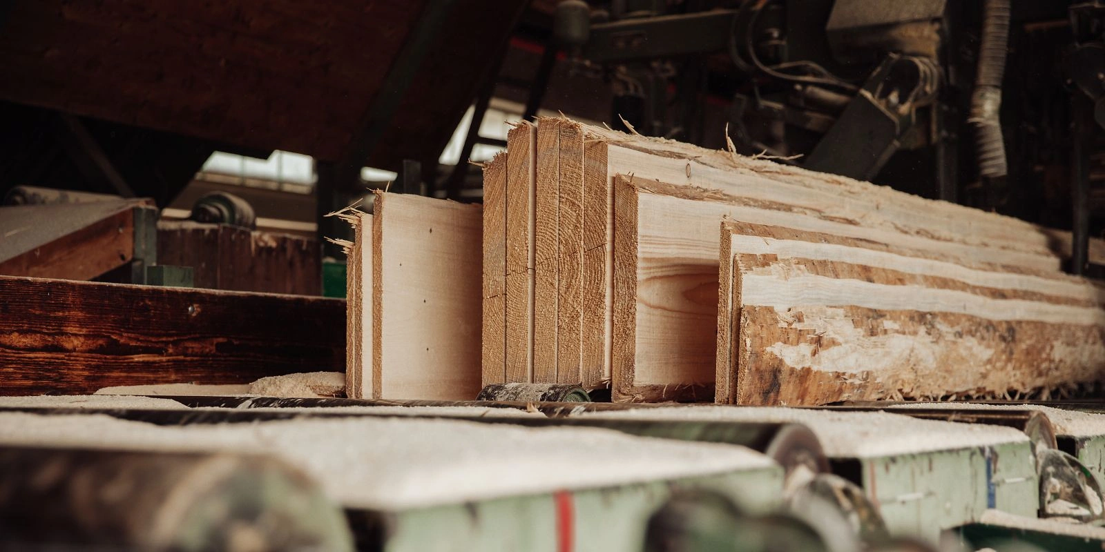 aus dem Sägewerk