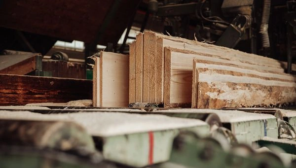 \\192.168.115.6\Artikelbilder\Sortiment Warengruppenbaum\aus dem Sägewerk.jpg