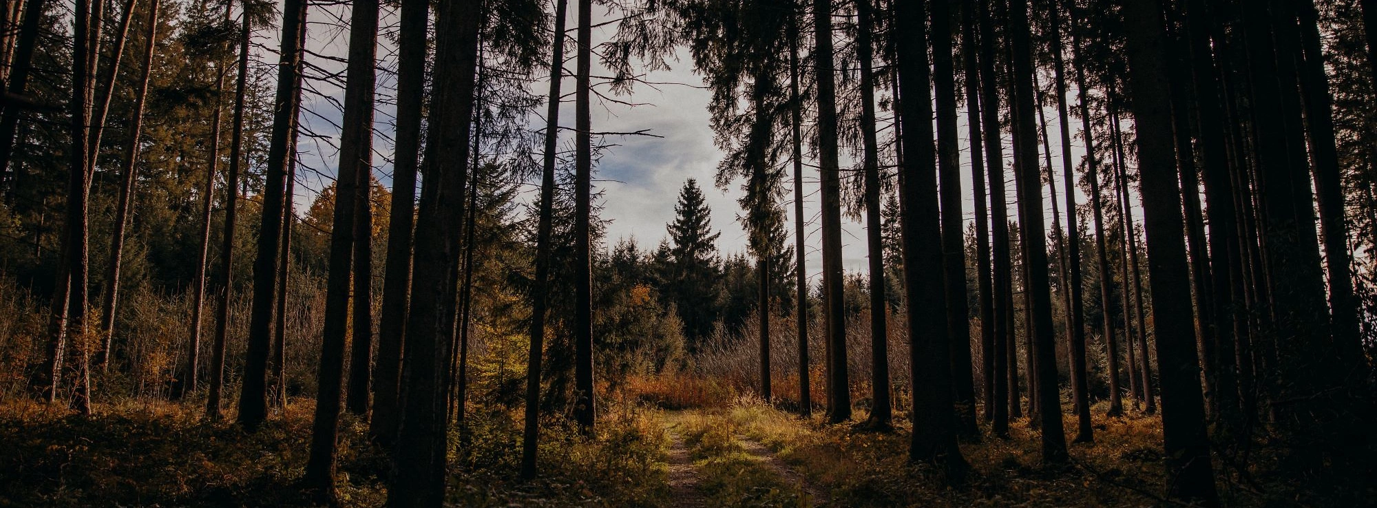 Unternehmensseite klein