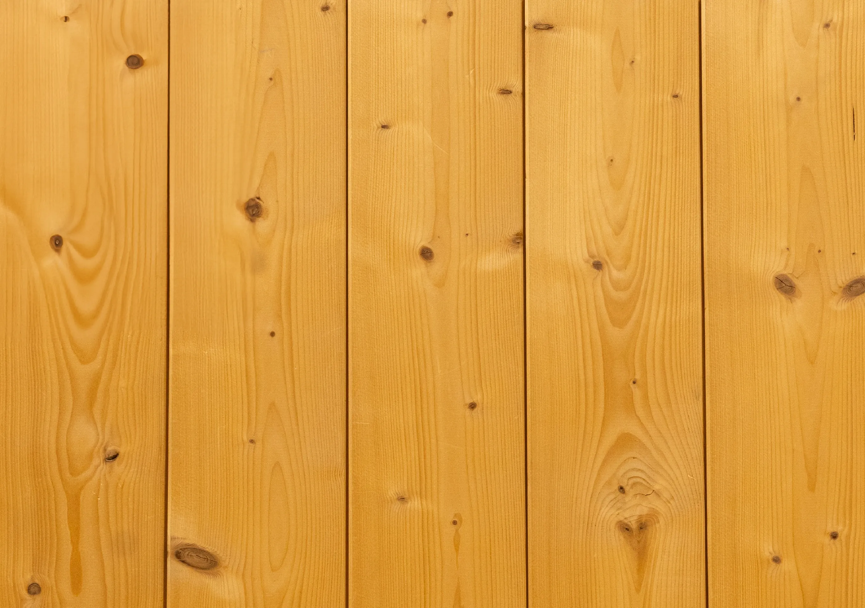 Nord. Fi./Fase NF US  18,5x146 mm  -  F