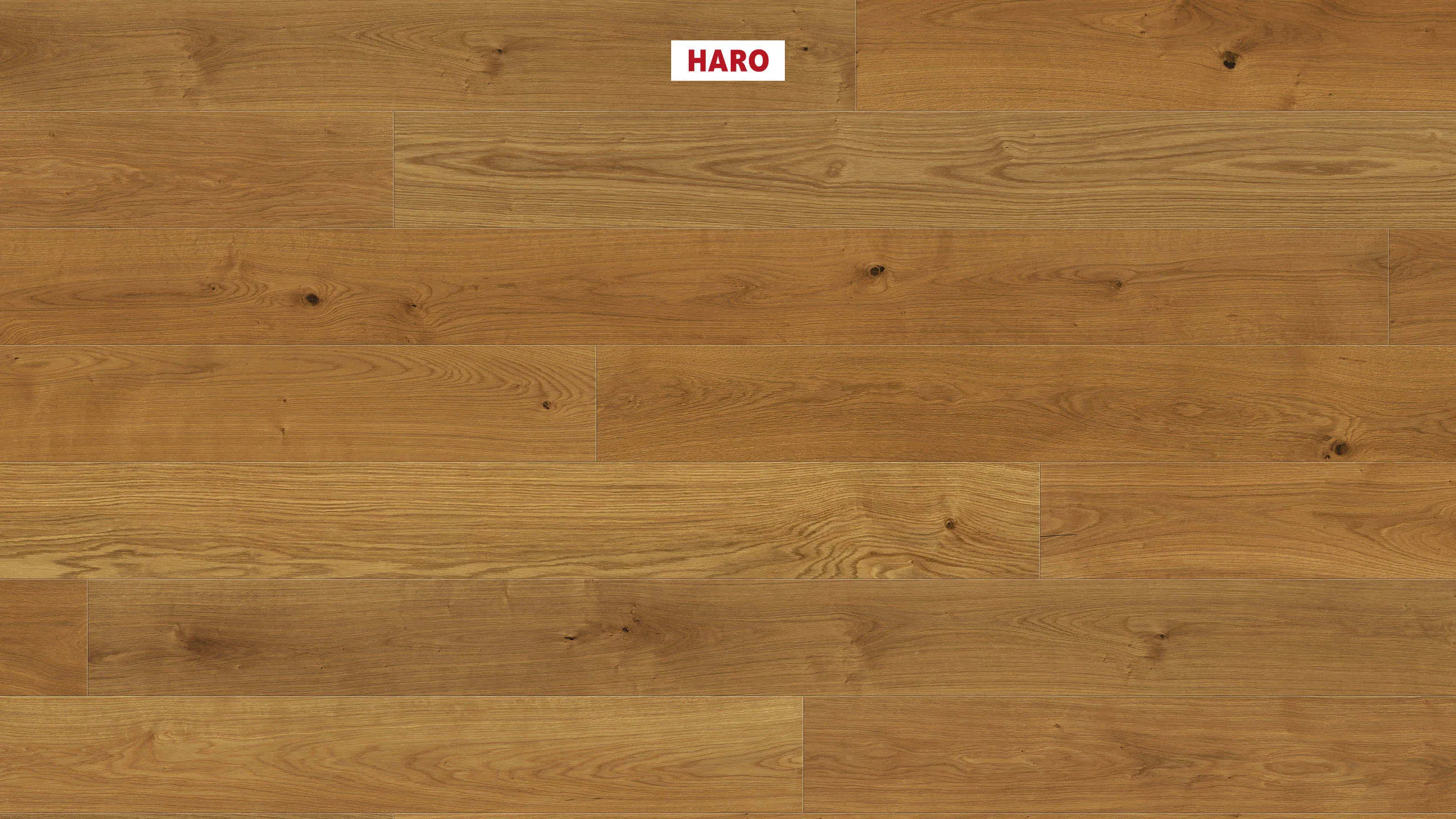 Sortierbild - Haro Eiche LHD Markant nL+