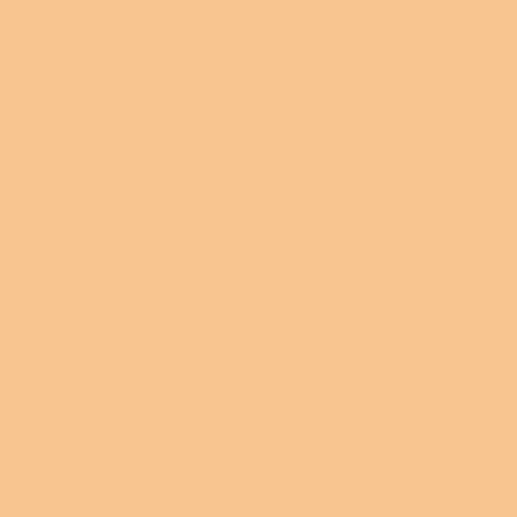 Holzpaste Osmo   100 g Tube