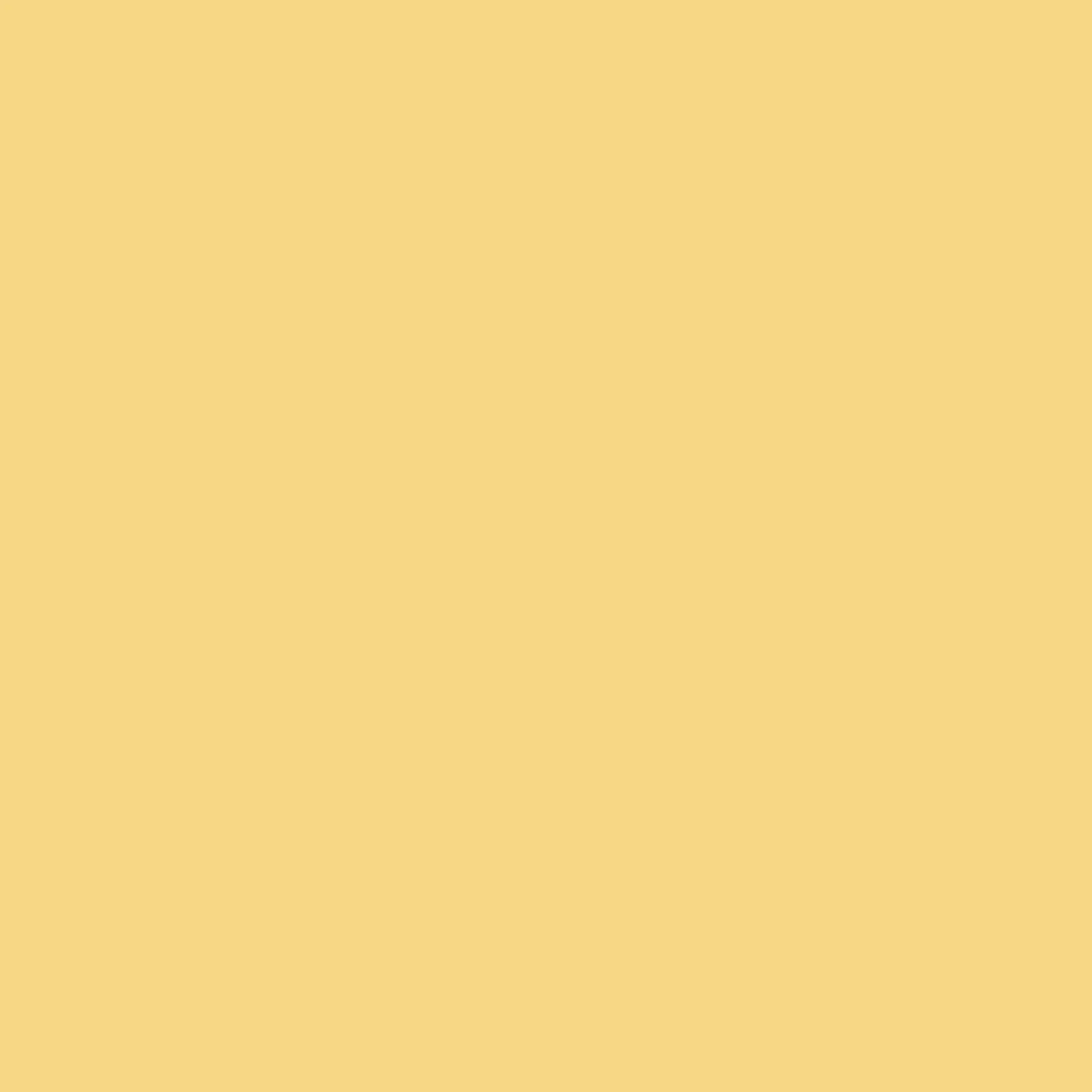 Holzpaste Osmo   100 g Tube