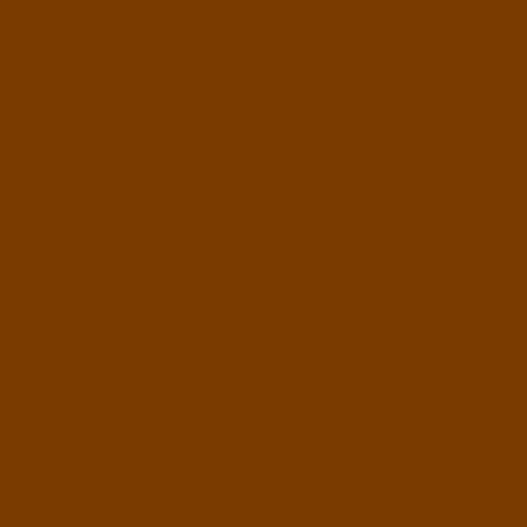 Holzpaste Osmo   100 g Tube