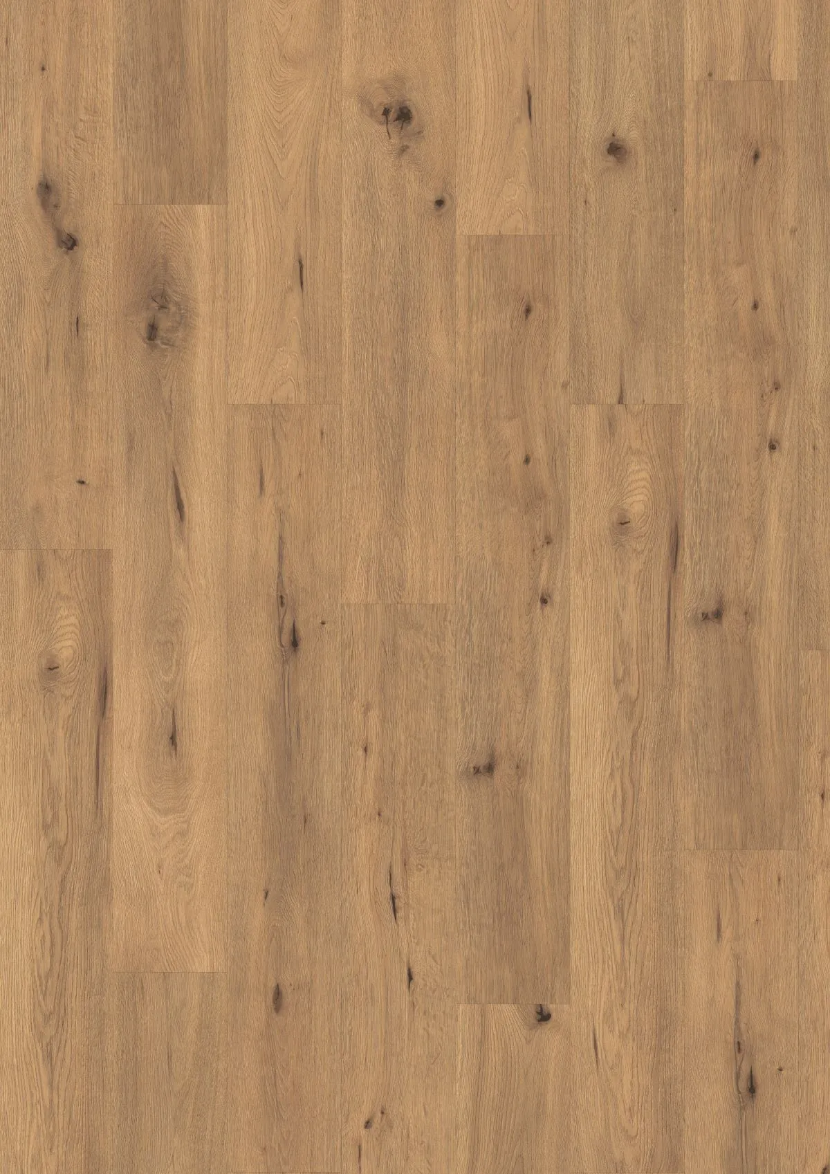 MUSTER - Aquadura Wildeiche natur